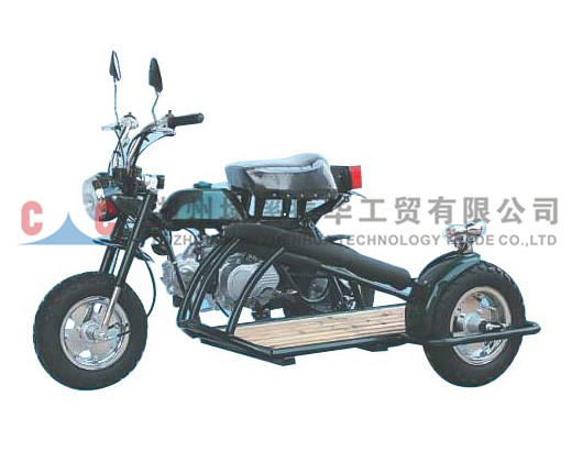 ثلاث عجلات دراجة نارية- ZH-A3L