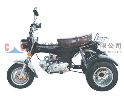 ثلاث عجلات دراجة نارية- ZH-CJL3L مختلف دائم باستخدام ثلاث عجلات بيع على الانترنت مخصص دراجة نارية للبالغين