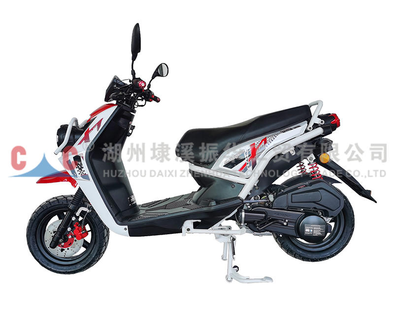 DWS بالجملة تخصيص مضخة وقود البنزين الصين الصانع دراجة نارية الناقل